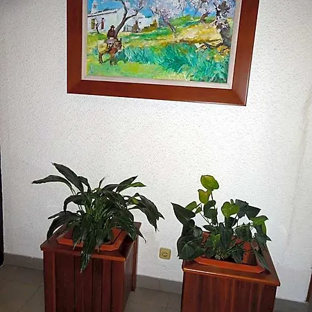 Estalagem Sequeira Couette-café São Brás de Alportel